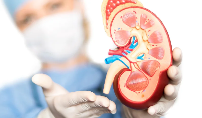 best-urologist-near-me-ahmedabad-gota